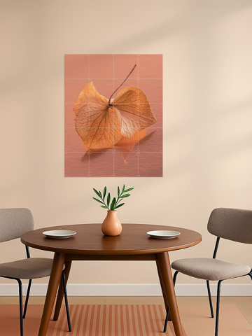 The Dancing Hydrangea Leaf: Fragile And Vulnerable, par Marjolijn van den Berg - IXXI 4
