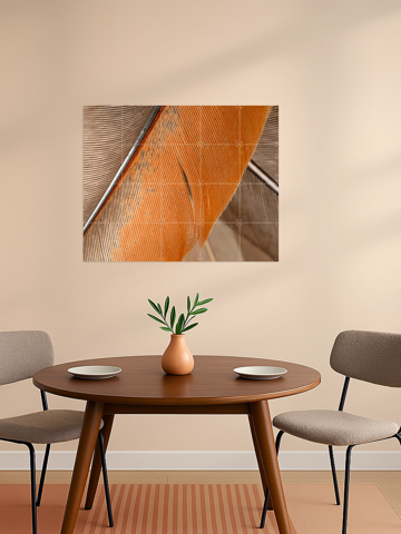 Simplicity In Lines - Close Up Of Feathers, par Marjolijn van den Berg - IXXI 4