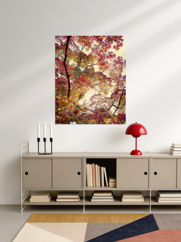 Japanese Garden, par Angelo Cerantola - IXXI 3