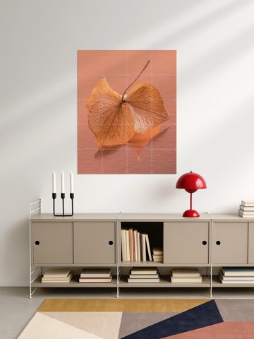 The Dancing Hydrangea Leaf: Fragile And Vulnerable, par Marjolijn van den Berg - IXXI 3