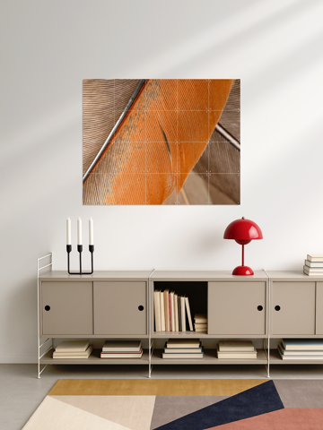 Simplicity In Lines - Close Up Of Feathers, par Marjolijn van den Berg - IXXI 3