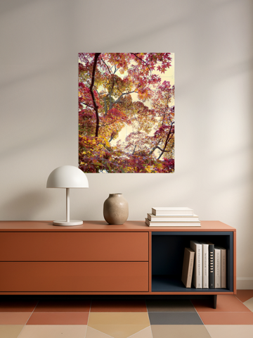 Japanese Garden, par Angelo Cerantola - IXXI 6