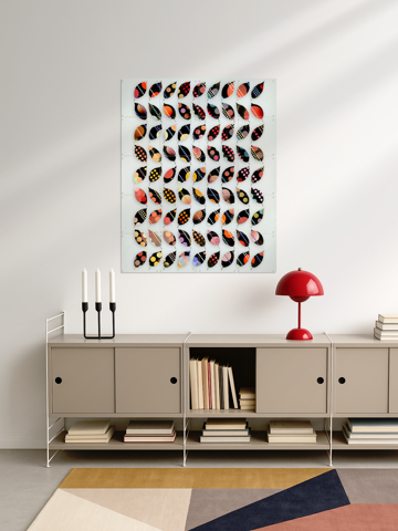 Autumn Souvenirs, par Angelo Cerantola - IXXI 3