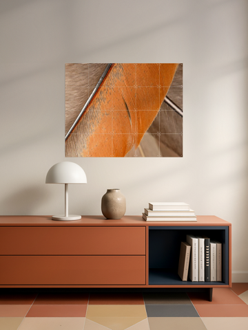 Simplicity In Lines - Close Up Of Feathers, par Marjolijn van den Berg - IXXI 6