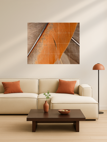 Simplicity In Lines - Close Up Of Feathers, par Marjolijn van den Berg - IXXI 5